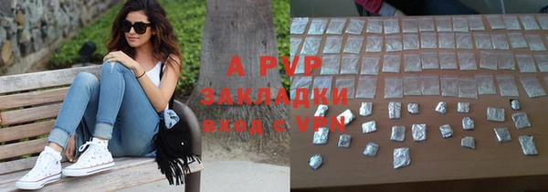 PSILOCYBIN Осташков