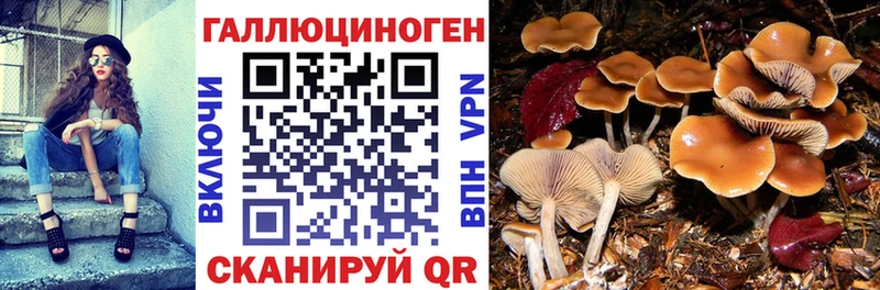 Купить  Инта  Псилоцибиновые грибы ЛСД 